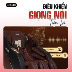 Ghế Massage Osanno OS 4