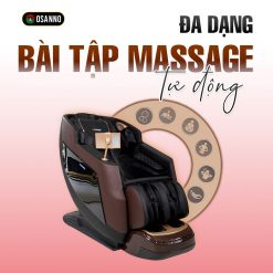 Ghế Massage RollerX S1