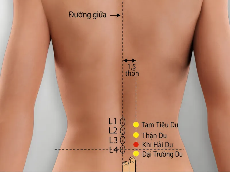 Huyệt thận du
