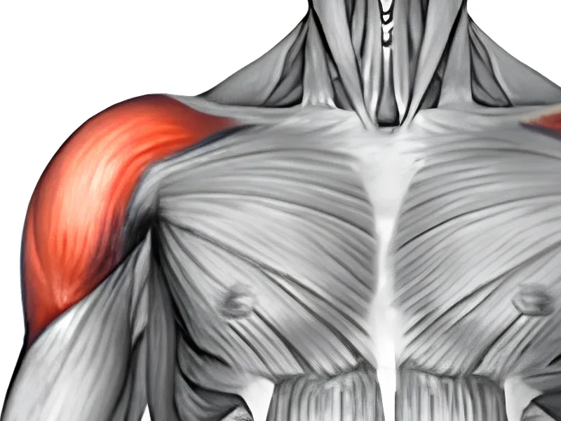 Lỗi thường gặp khi tập cơ cầu vai
