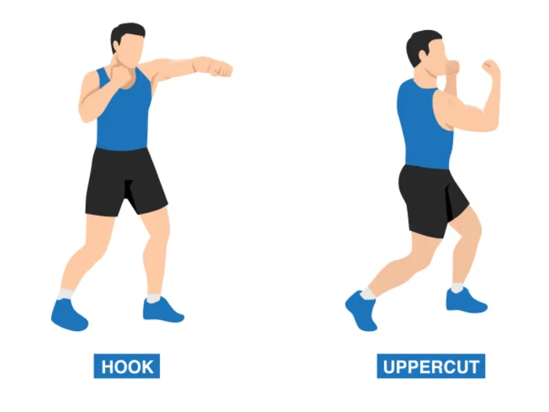 Hook và uppercut